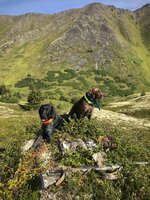 IMG_3796.JPG IMG_3796.JPG