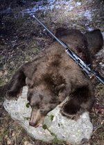 2021 Bear 1.jpg