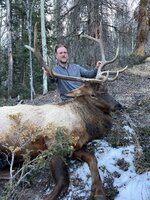 elk3.jpg