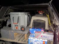 IMG_20211110_183809902.jpg