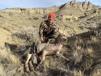 wyoming buck.jpg
