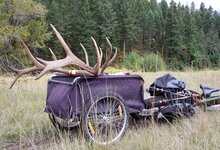 elkbike2.jpg