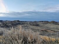 IMG_20211112_070351958_HDR.jpg