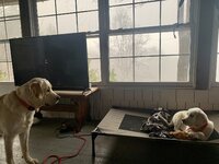 724E4CA8-B950-46E8-8F7F-5490B2391ED5.jpeg