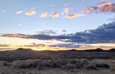 IMG_20211113_071309524_HDR~2.jpg