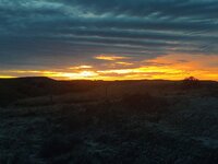 IMG_20211115_064800773.jpg