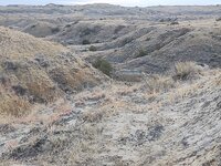 IMG_20211115_082102931.jpg