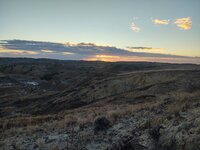IMG_20211116_072359853_HDR.jpg