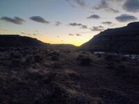 IMG_20211116_165009229.jpg