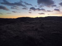 IMG_20211116_165755503.jpg
