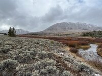 E72DB9AC-54AD-4713-87EE-0D4D271F3F01.jpeg