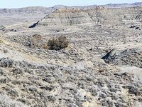 IMG_20211117_110929522.jpg