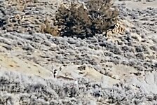 IMG_20211117_110929522~2.jpg