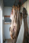 IMG_9507.jpg