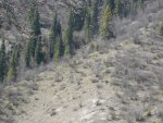 DSCN2722.jpg