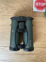 IMG_5950.jpeg IMG_5950.jpeg