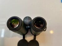 IMG_5961.jpeg IMG_5961.jpeg