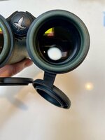 IMG_5963.jpeg IMG_5963.jpeg