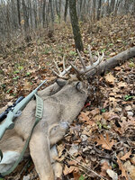 2021 WI buck.jpg