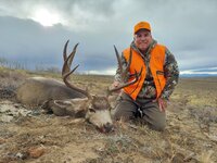 Co Deer.jpg