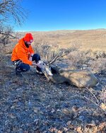 CO deer.jpeg