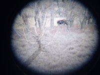 IMG_20211122_154511968.jpg