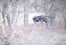 IMG_20211122_154511968~2.jpg
