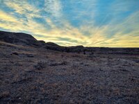 IMG_20211122_163808220_HDR.jpg