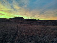 IMG_20211122_164554528_HDR.jpg