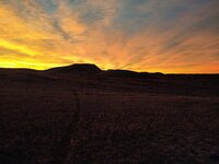 IMG_20211122_164556204.jpg