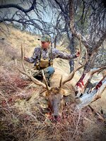 Elk1 (2).jpg
