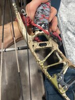 IMG_1808.jpeg