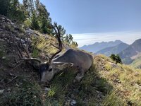 12E40824-EDCF-4380-A40F-967F5E36A0A0.jpeg