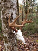 20211105_153529.jpg 20211105_153529.jpg