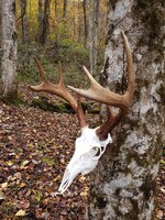 20211105_153521.jpg 20211105_153521.jpg