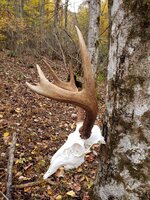 20211105_153514.jpg 20211105_153514.jpg