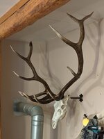 PXL_20211026_221341521~2.jpg
