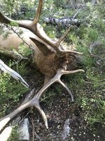 IMG_7222.jpg IMG_7222.jpg