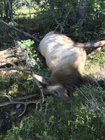 IMG_7225.jpg IMG_7225.jpg