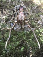 IMG_7241.jpg IMG_7241.jpg