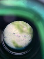 C6DD81C9-1357-411F-A24B-B8D6630069E2.jpeg