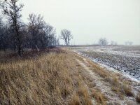 IMG_20211204_083027818.jpg