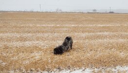 IMG_20211204_111244951.jpg