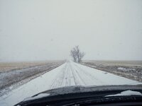 IMG_20211204_140912606.jpg