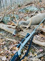 2021 va buck image 1.jpeg