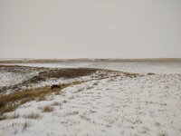 IMG_20211205_093125491.jpg