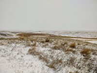 IMG_20211205_093135881.jpg