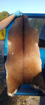 IMG_20211206_175738~2.jpg