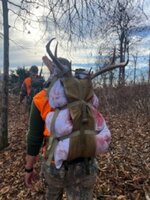 IMG_1285.jpg IMG_1285.jpg