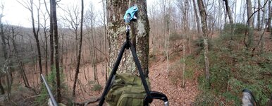 Resized_20211204_074711(1).jpeg Resized_20211204_074711(1).jpeg